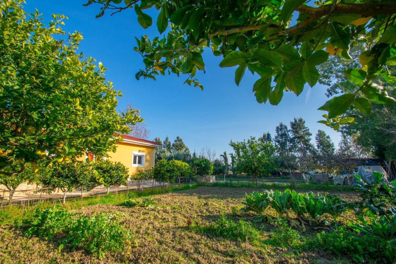 Loukas Farm House Áyios Kírikos المظهر الخارجي الصورة