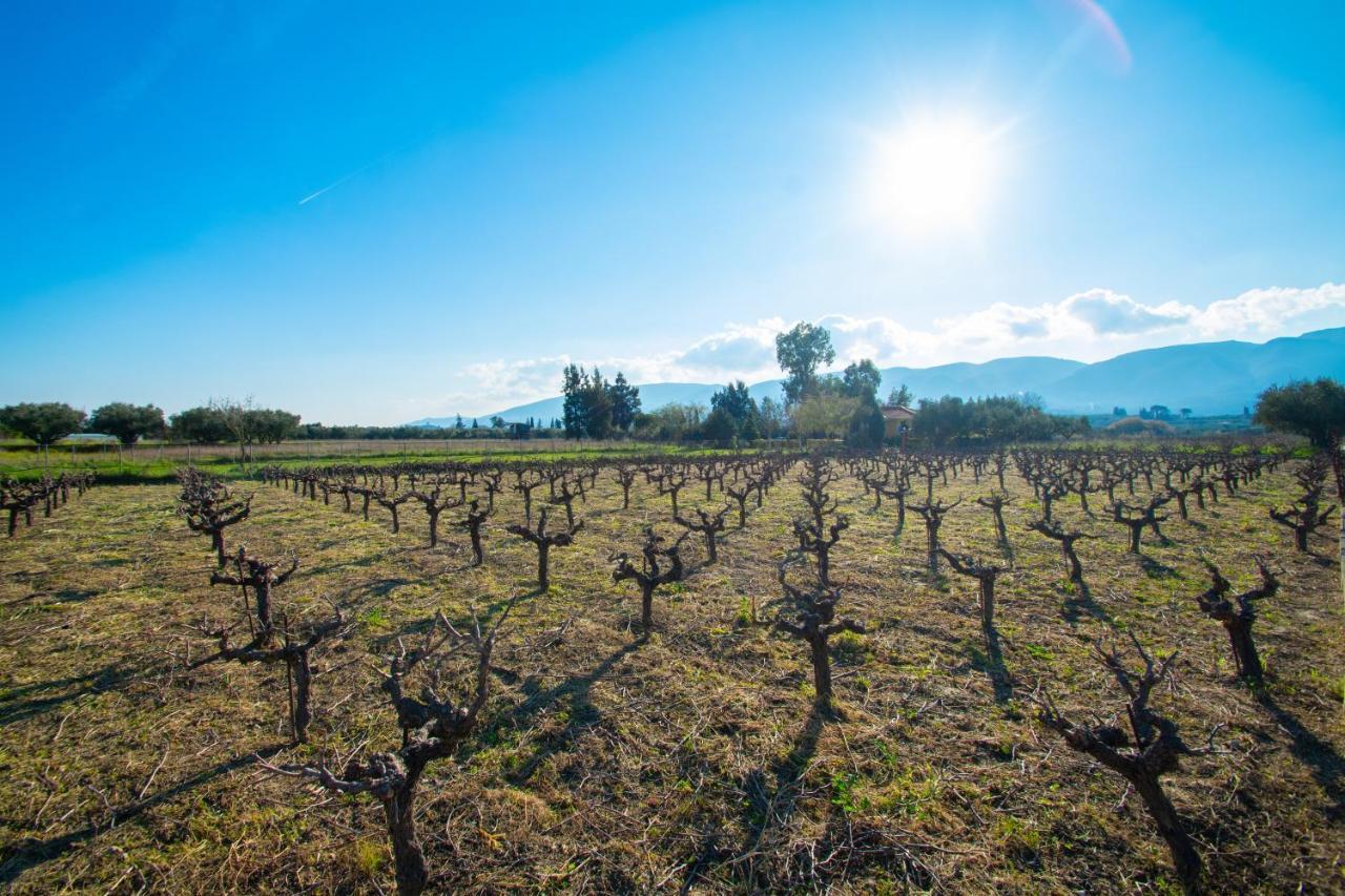 Loukas Farm House Áyios Kírikos المظهر الخارجي الصورة