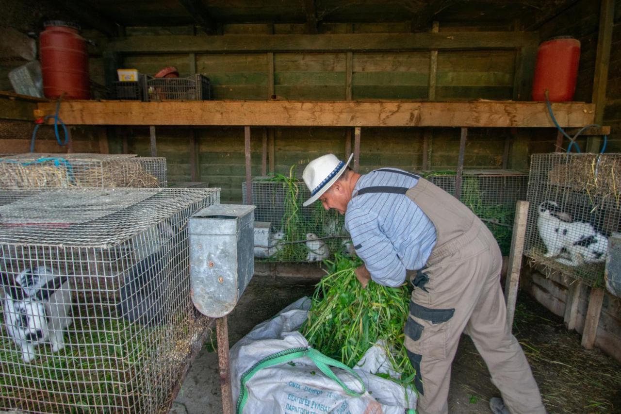 Loukas Farm House Áyios Kírikos المظهر الخارجي الصورة